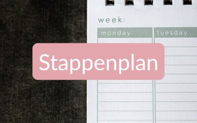 Van droom naar boek. Stappenplan om zelf je boek uit te geven